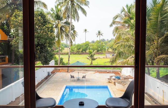 Mistral by the Sea - Foto 19