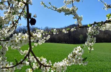 Agriturismo Malvista - Foto 58