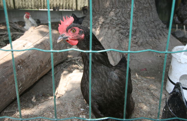 Diwani home stay Innsbruck - Foto 28