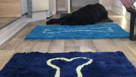 Tinyhouse Bamberg - Foto 4