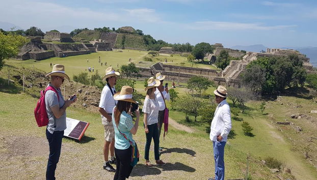 Site archéologique de Monte Albán - Excursion d'une demi-journée - Photo 5