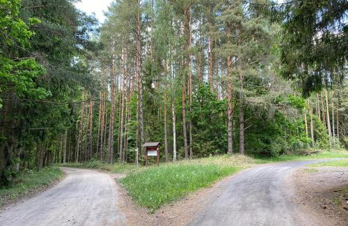 Pietraszówka - Foto 18