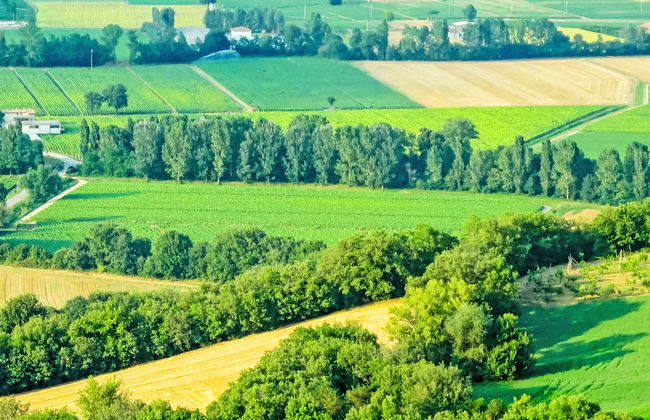 Montebello - Foto 26