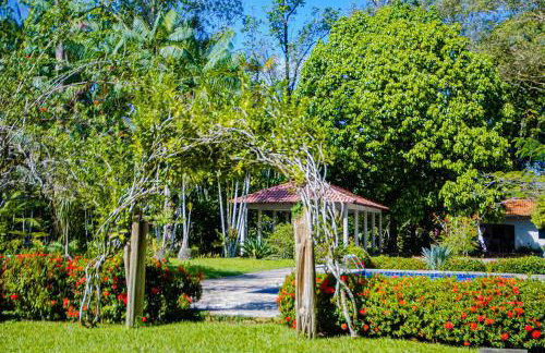 Casa c Wifi, churrasq, pisc, redario, Pet friendly - Photo 43