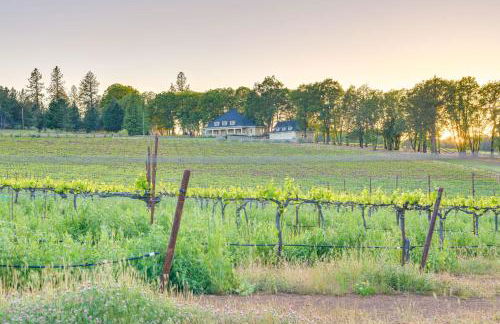 Kelseyville Home with Private Pool and Vineyard Views! - Foto 45