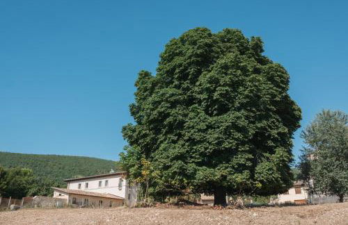 Country House Il Vecchio Ippocastano - Foto 4