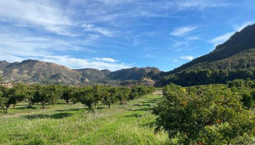 Casas Amarillas. Finca el Campillo - Foto 3, Garden view