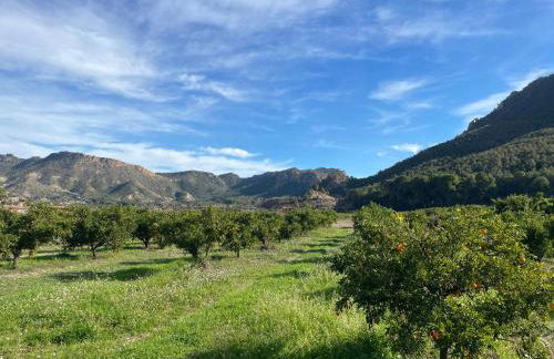 Casas Amarillas. Finca el Campillo - Foto 3