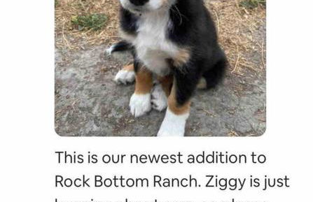 Pacific Coast Hwy Bunkhouse in San Luis Obispo - Foto 53