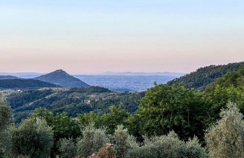 Stone Farmhouse Between Florence And Lucca - Foto 31