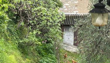 Family House - Foto 5