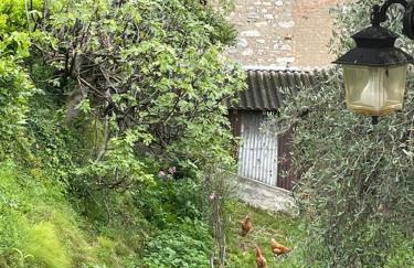 Family House - Foto 5