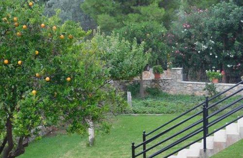 Manto Studios - Photo 68