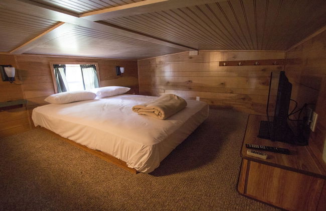 Richmond North Kings Dominion KOA - Foto 6