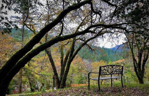 Avenue of the Giants Pepperwood Place (#2) - Foto 32