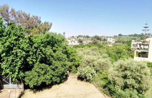 Casa del Maestro - Foto 14