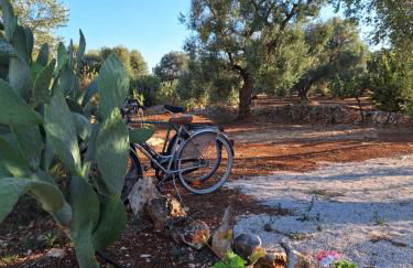 Residenza Anima Mediterranea - Foto 36