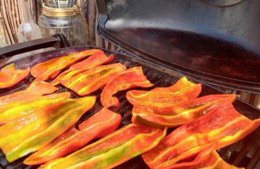 Le Mas Saint Pierre - Foto 30