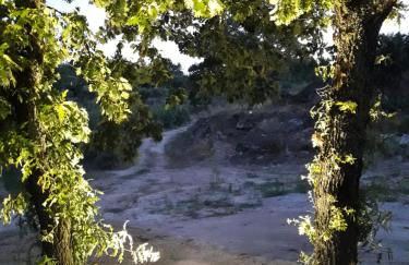 Casa do Feitor - Douro - Quinta da Cabrida - Foto 54