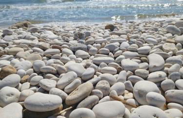 Giglio Bianco Casa Vacanze - Foto 24