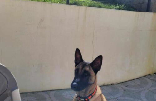 Les Malous - Foto 67