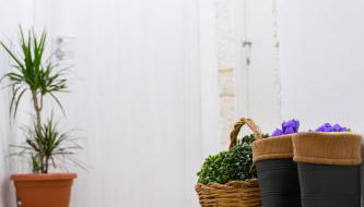 Sfumature di Puglia - Foto 1