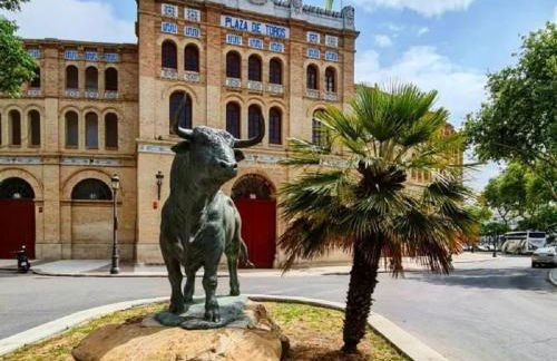 Apartamento Plaza Toros - Foto 15