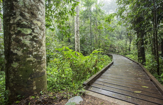 Riviera Mackay - Photo 33