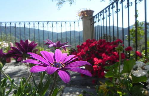 azienda agricola zulin casa elena - Foto 9