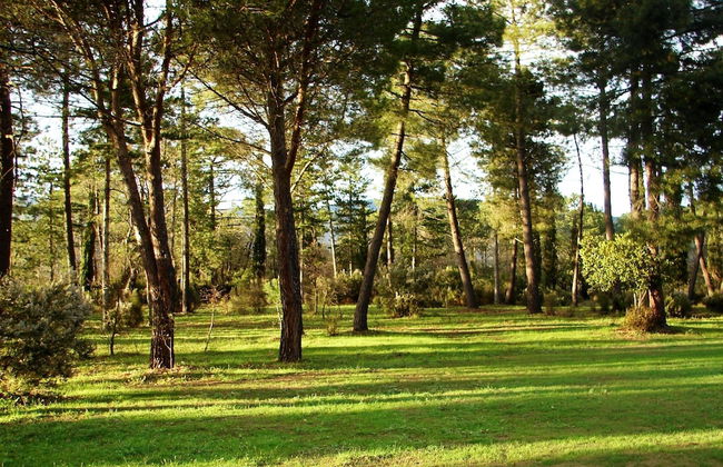 Poggio Corsucci - Foto 61