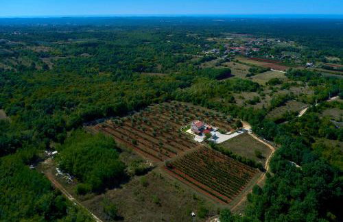 Relax house surrounded by olives and vineyard - Photo 56