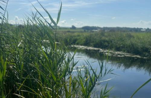 The Thimble static Holiday Home - Foto 24