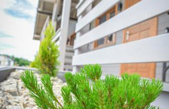 Forest Camp - domki Zator, ogrzewane noclegi - Foto 16