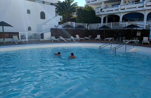 Flor De Cactus - Foto 47