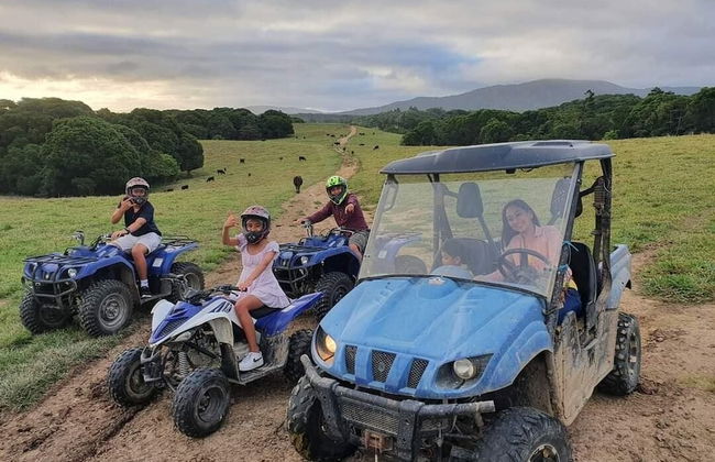 Kur Cow farm - Foto 9