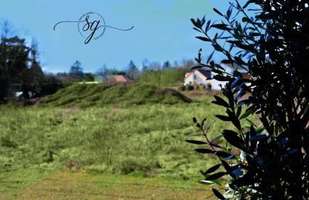 Le terrier du Green appartement - Foto 46