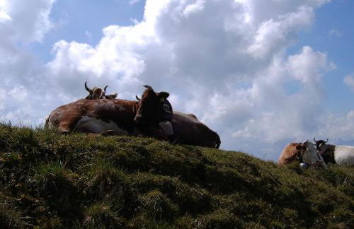 ALLGÄU HAUS - Foto 44