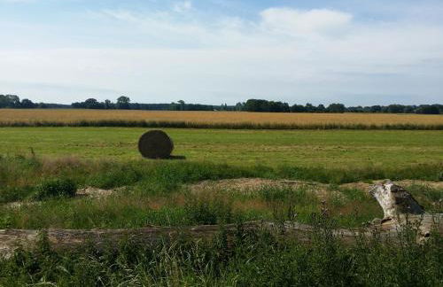 Feriendomizil im Lieper Winkel - Foto 14
