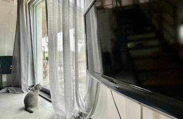 Biała Czapla - Foto 11