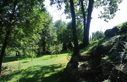 A L'Orée du Bois - Foto 1
