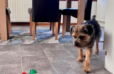 Room with a view - Foto 53