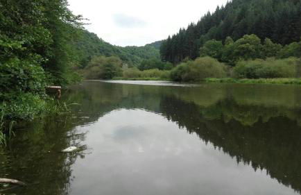 Ferienwohnungen "am Fürstenweg" - Foto 14