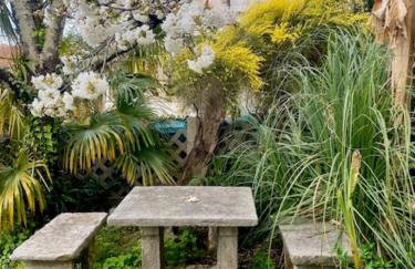 RUSTICO MEDITERRANEO Apartment with large terrace by Villa Mihaela Poreč - Foto 13