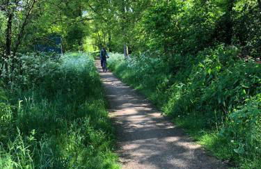 Bei Bille und Jan - Foto 48