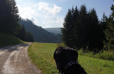 Chalet Karin - Foto 13