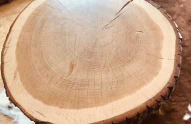 Blockhaus im Kuckuckswinkel - Foto 4