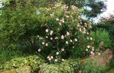 San Giovannina '800 - Photo 20