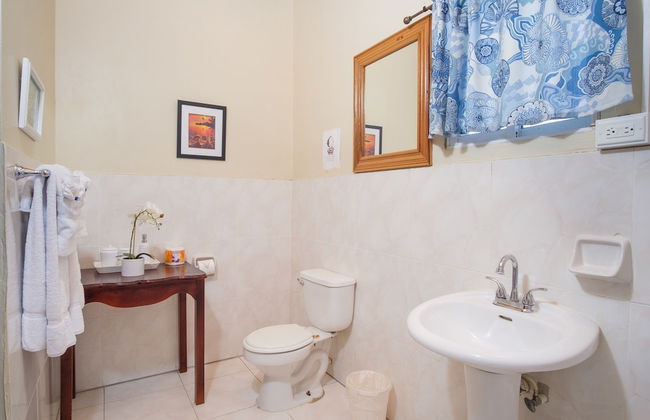 Jamaica Ocean View Villa - Foto 21