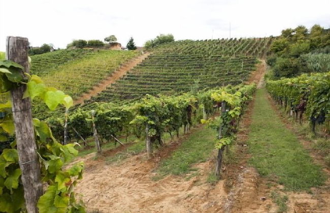 Casa Isabella - Foto 43