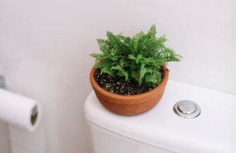 Apartamento novo com vista privilegiada - Foto 6